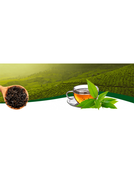 Té instantáneo