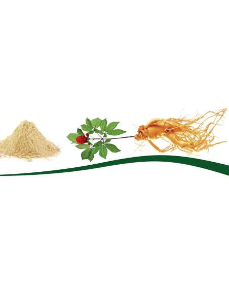 Ginseng Rouge
